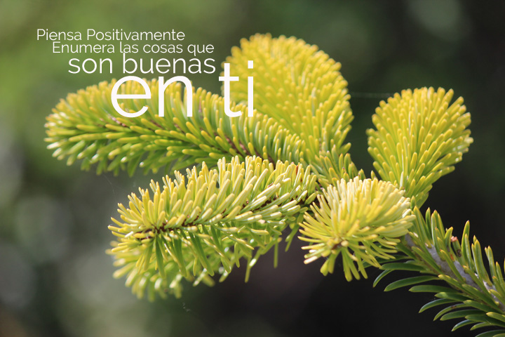 enumeralascosasbuenas