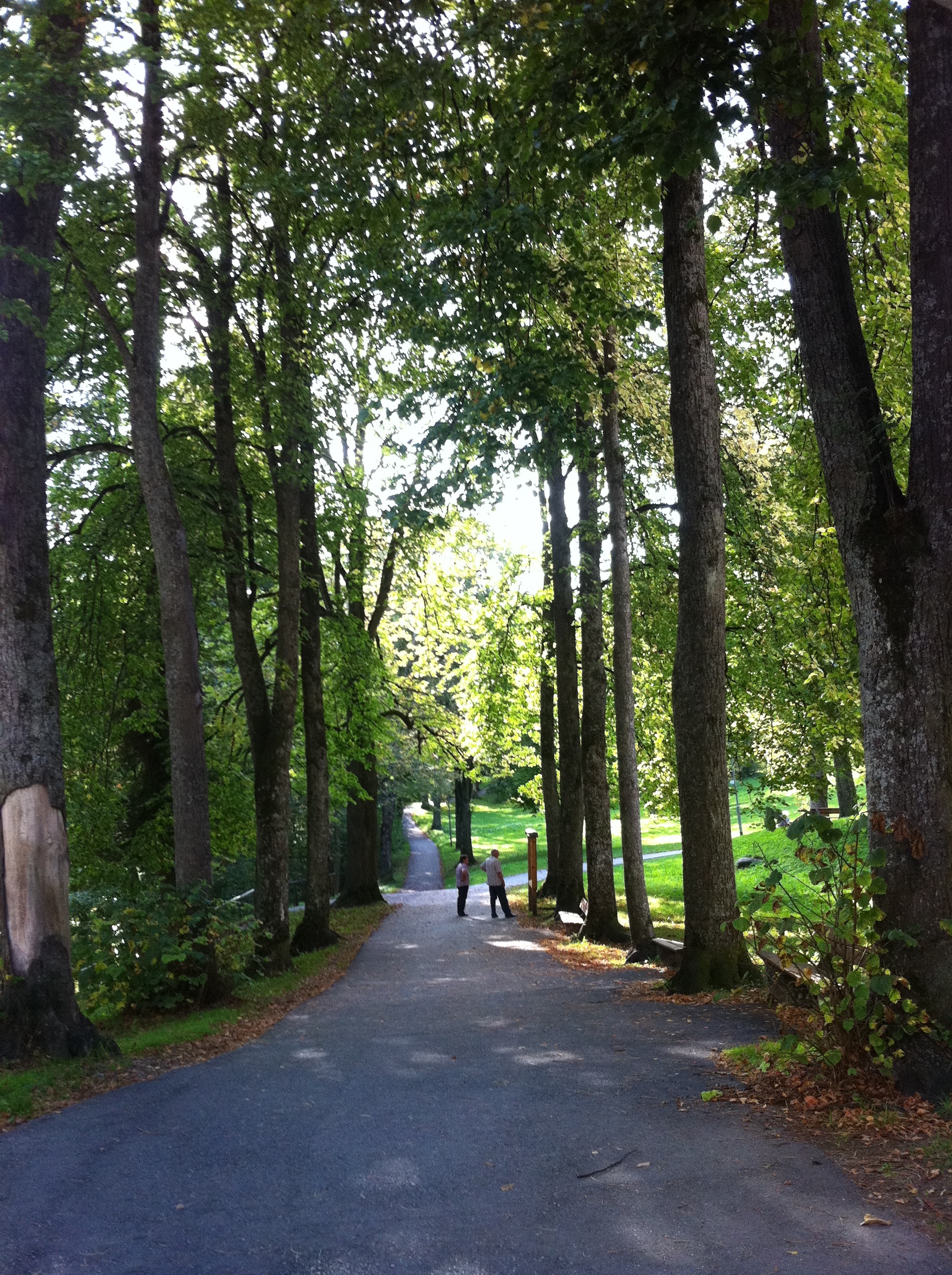 eresdigno-constelacionesfamiliareshou