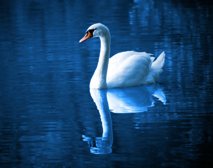 constelacionesfamiliareshouston-ego