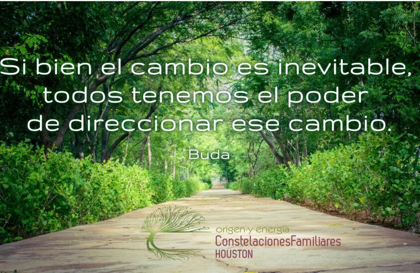 CONEXIONES EMOCIONALES CON EL COVID-19