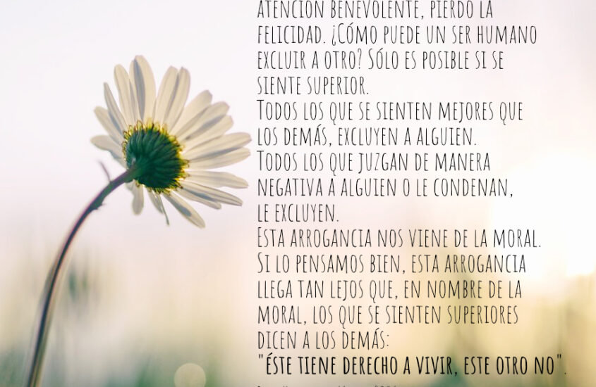 Buena y Mala Conciencia – Bert Hellinger