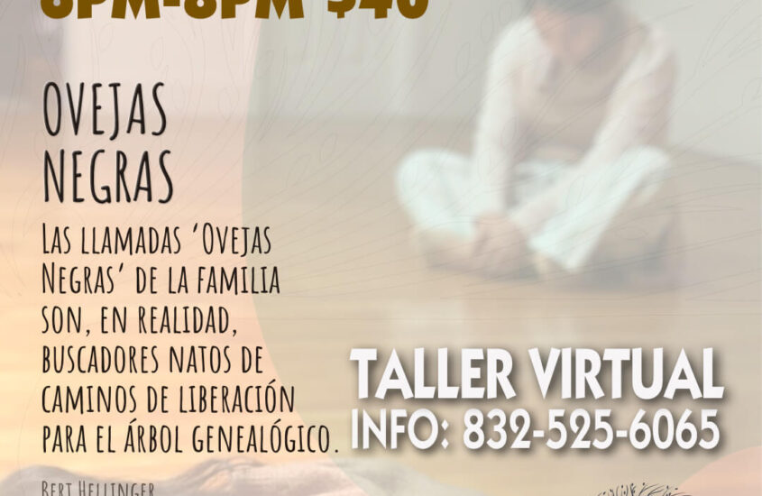 TALLER VIRTUAL FEBRERO 2023