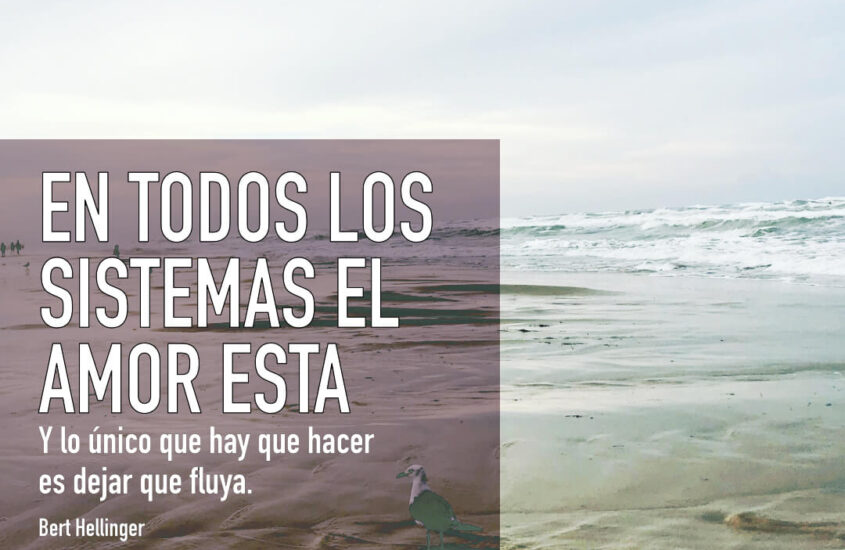 Taller de Constelaciones Familiares “DESCRIPCION”